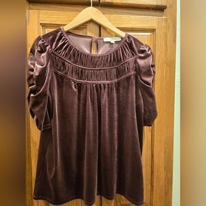 LOFT Women's Rich Velvet Blouse - Wine Color